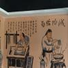 点击放大