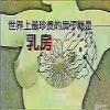 Ŵ