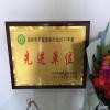 点击放大