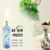 点击放大